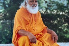 Swami Prakashanand Saraswati